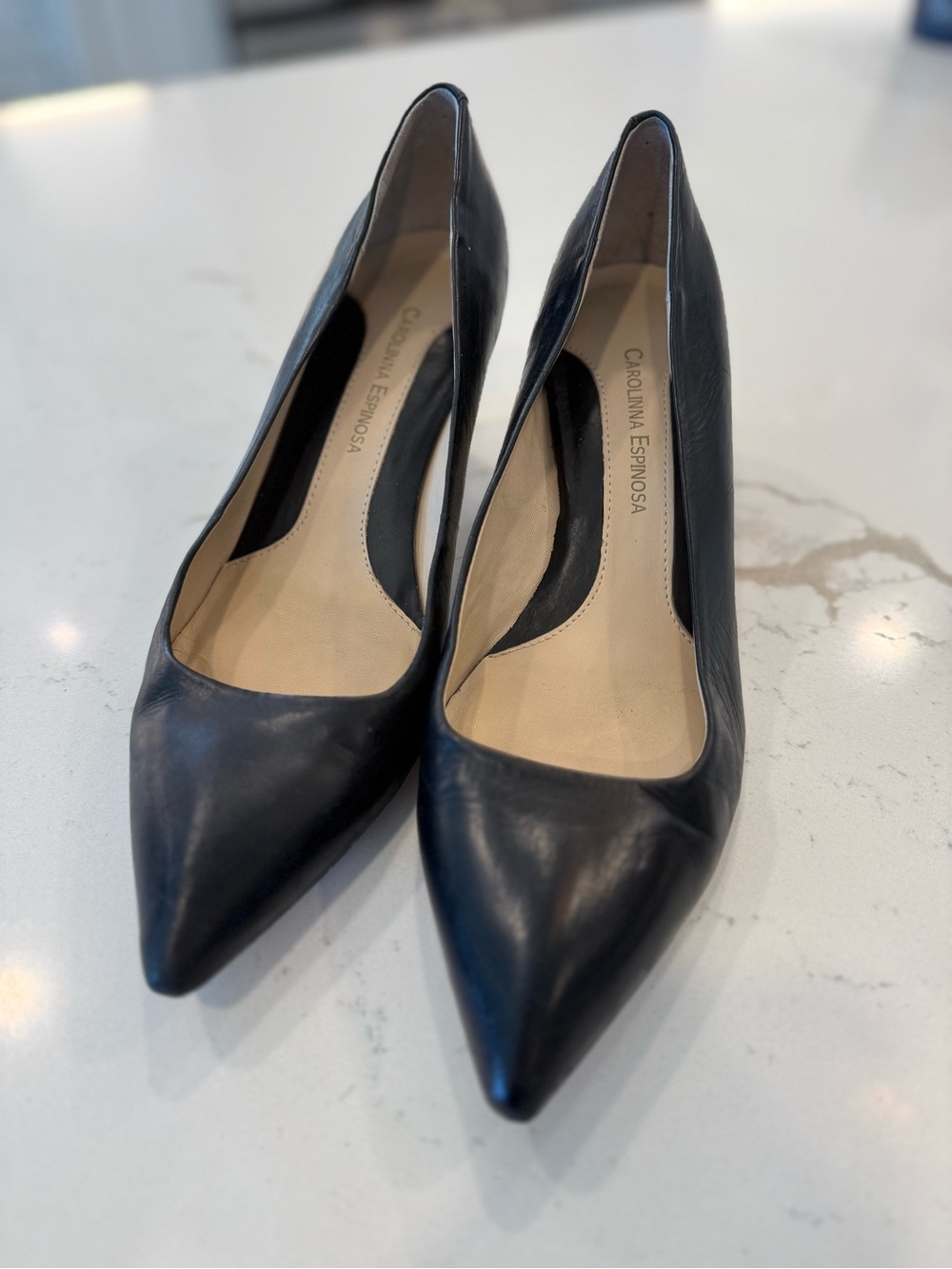 Carolinna Espinosa Black Pointed Toe Pumps